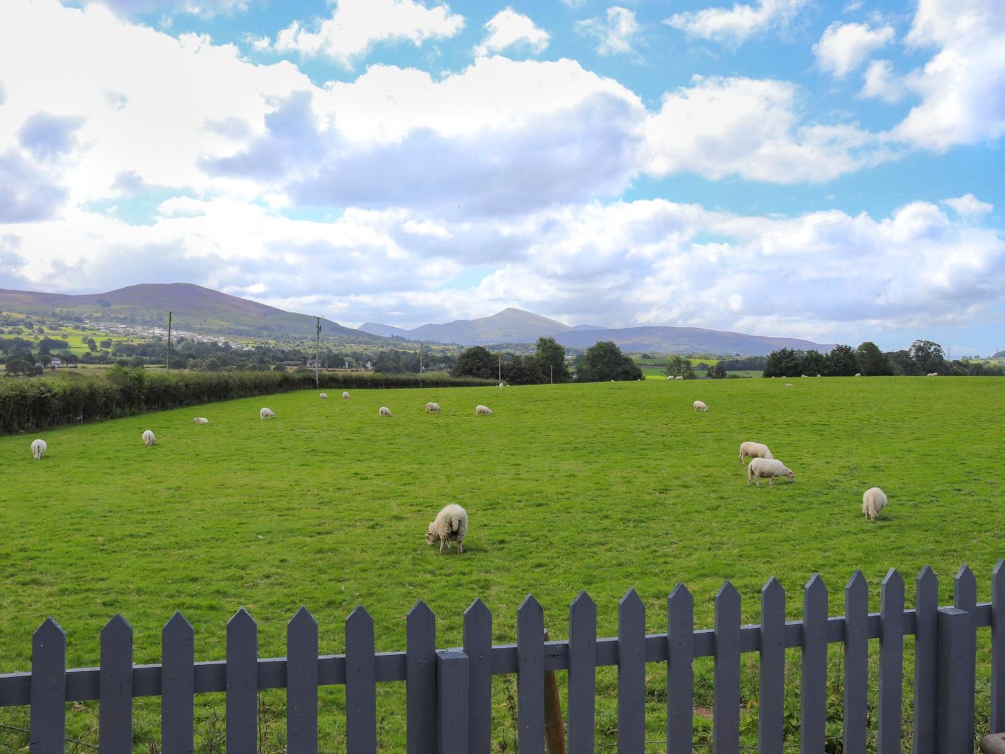 Pencefn Cottage Llanddeiniolen Εξωτερικό φωτογραφία